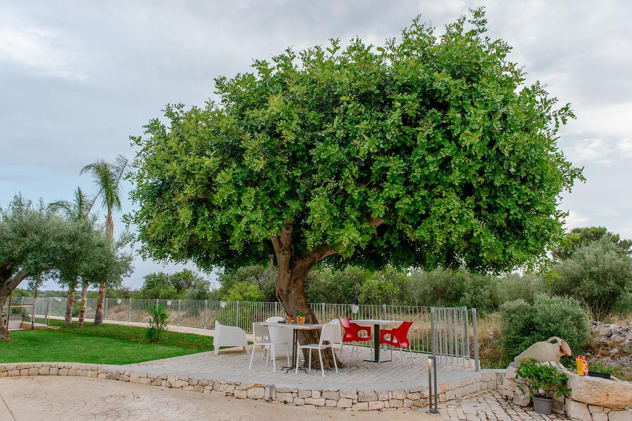 مبيت وإفطار شيكلي Barokhouse المظهر الخارجي الصورة